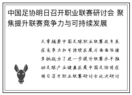 中国足协明日召开职业联赛研讨会 聚焦提升联赛竞争力与可持续发展