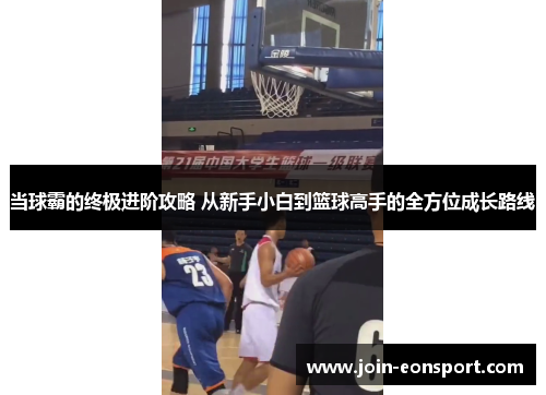 当球霸的终极进阶攻略 从新手小白到篮球高手的全方位成长路线