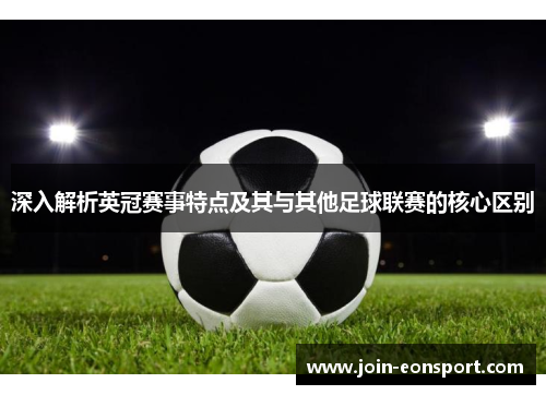 深入解析英冠赛事特点及其与其他足球联赛的核心区别